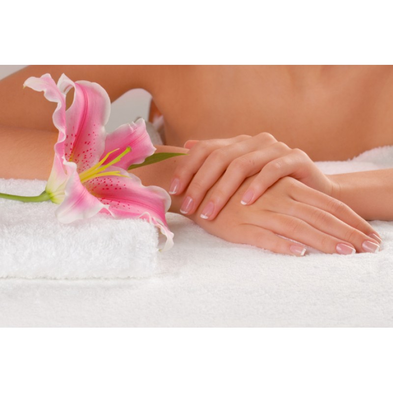 Строение ногтя